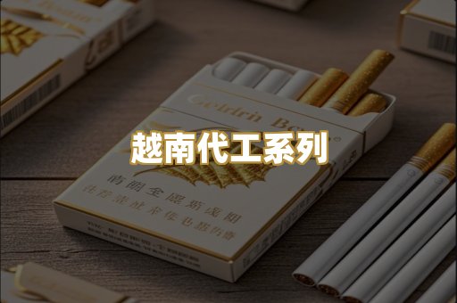 越南代工系列